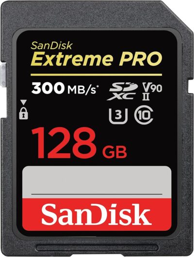 SanDisk 512GB Extreme PRO SDXC UHS-II Memory Card - C10, U3, V90, 8K, 4K, Full HD Video, SD Card - SDSDXDK-512G-GN4IN wholesale