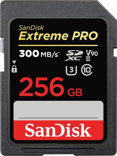 SanDisk 512GB Extreme PRO SDXC UHS-II Memory Card - C10, U3, V90, 8K, 4K, Full HD Video, SD Card - SDSDXDK-512G-GN4IN wholesale