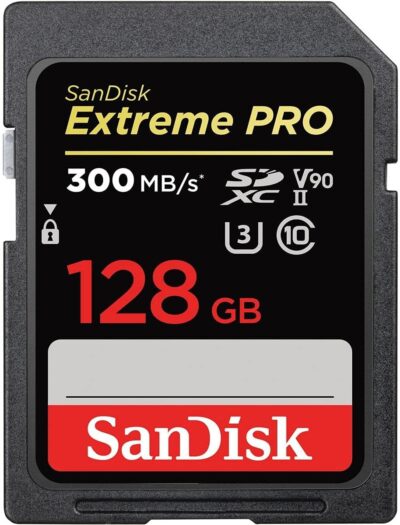 SanDisk 512GB Extreme PRO SDXC UHS-II Memory Card - C10, U3, V90, 8K, 4K, Full HD Video, SD Card - SDSDXDK-512G-GN4IN wholesale
