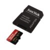 SanDisk Extreme Pro - Flash memory card - 256 GB - A2 / Video Class V30 / UHS-I U3 / Class10 - microSDXC UHS-I SDSQXCZ-256G wholesale
