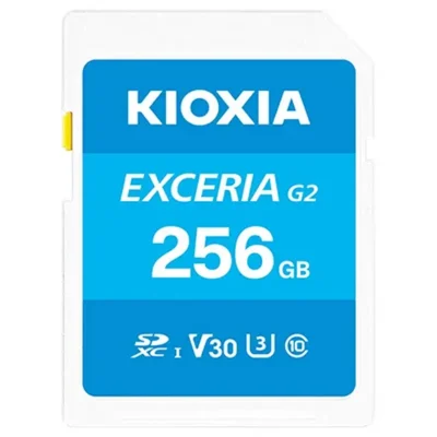 KIOXIA LNEX2L256GG4