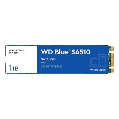 WD Blue 1TB SA510 M.2 Internal Solid State Drive SSD - WDS100T3B0B wholesale