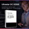 WD Ultrastar SS300 1.92TB SAS 12Gb/s 3D TLC 2.5-Inch Data Center SSD  HUSTR7619ASS200 wholesale