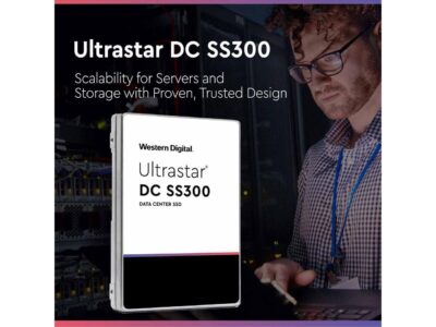 WD Ultrastar SS300 1.92TB SAS 12Gb/s 3D TLC 2.5-Inch Data Center SSD  HUSTR7619ASS200 wholesale