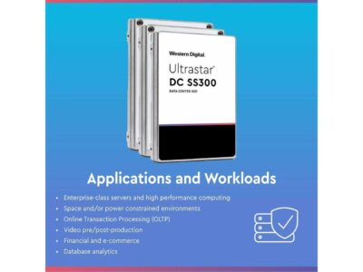 WD Ultrastar SS300 1.92TB SAS 12Gb/s 3D TLC 2.5-Inch Data Center SSD  HUSTR7619ASS200 wholesale