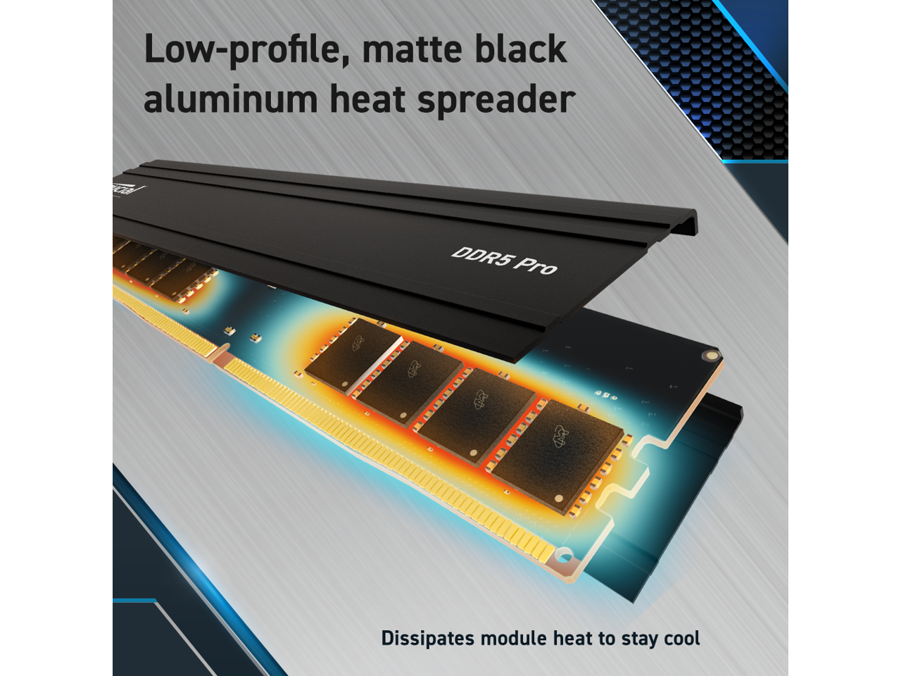 Crucial Pro 96GB (2 x 48GB) DDR5 5600 (PC5 44800) XMP 3.0 & AMD EXPO Ready Desktop Memory Model CP2K48G56C46U5 - Image 5