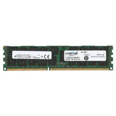 Crucial 32GB ECC Registered DDR3 1600 (PC3 12800) Ram Server Memory Model CT2K16G3ERSLD4160B wholesale